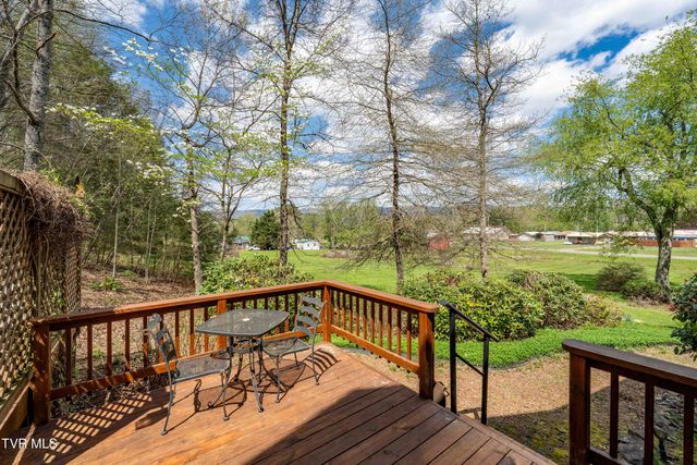 1297 Harbin Hill Road, Mountain City, TN 37683