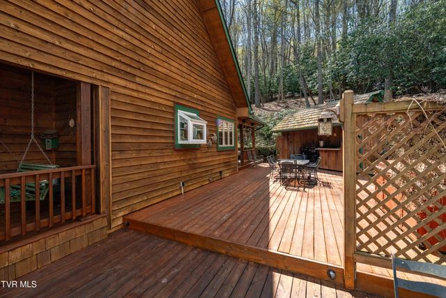 1297 Harbin Hill Road, Mountain City, TN 37683