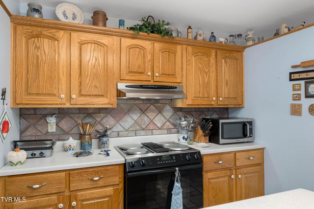 1297 Harbin Hill Road, Mountain City, TN 37683