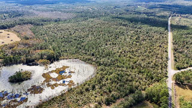 0 Douglas Ferry Road, Bonifay, FL 32425