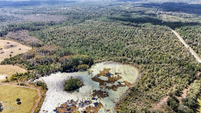 0 Douglas Ferry Road, Bonifay, FL 32425