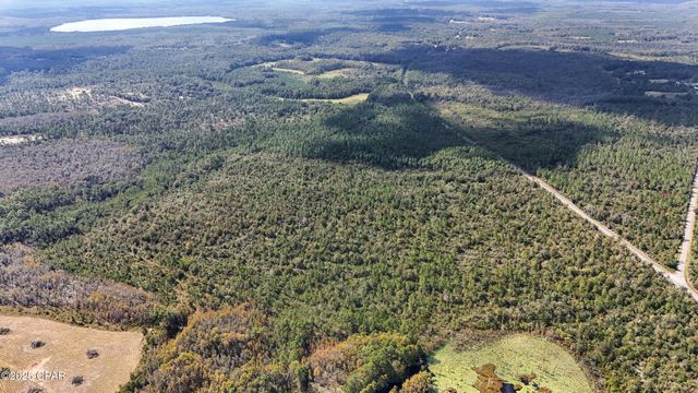 0 Douglas Ferry Road, Bonifay, FL 32425