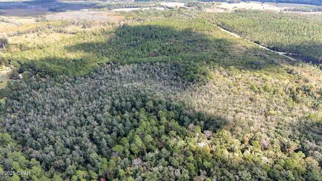 0 Douglas Ferry Road, Bonifay, FL 32425