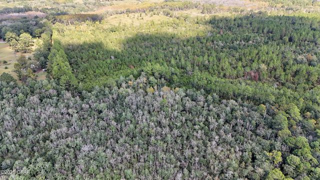 0 Douglas Ferry Road, Bonifay, FL 32425