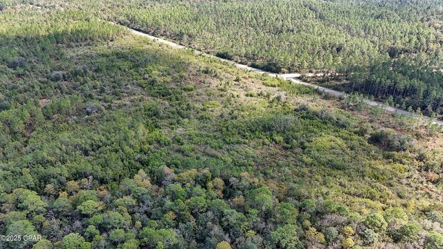 0 Douglas Ferry Road, Bonifay, FL 32425