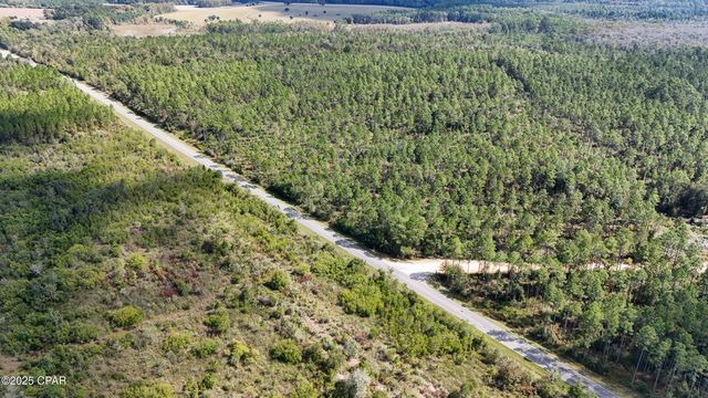 0 Douglas Ferry Road, Bonifay, FL 32425