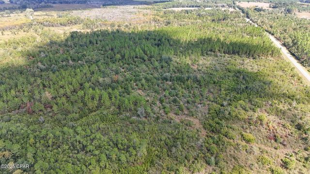 0 Douglas Ferry Road, Bonifay, FL 32425