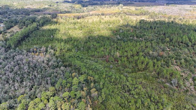 0 Douglas Ferry Road, Bonifay, FL 32425