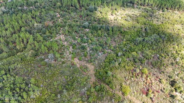 0 Douglas Ferry Road, Bonifay, FL 32425