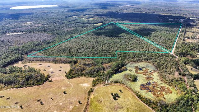 0 Douglas Ferry Road, Bonifay, FL 32425