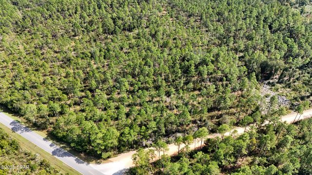 0 Douglas Ferry Road, Bonifay, FL 32425