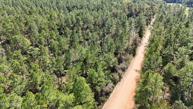 0 Douglas Ferry Road, Bonifay, FL 32425
