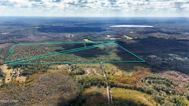 0 Douglas Ferry Road, Bonifay, FL 32425