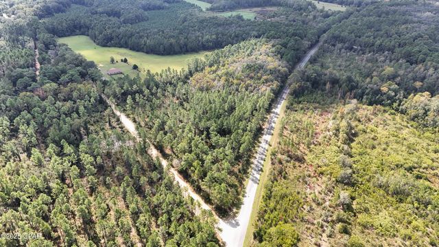 0 Douglas Ferry Road, Bonifay, FL 32425