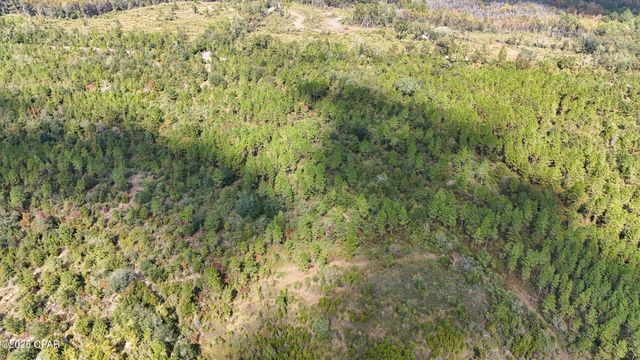 0 Douglas Ferry Road, Bonifay, FL 32425