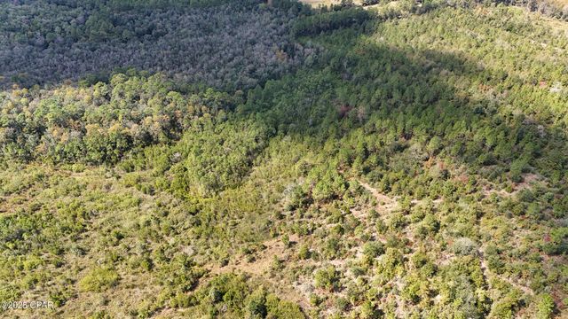 0 Douglas Ferry Road, Bonifay, FL 32425