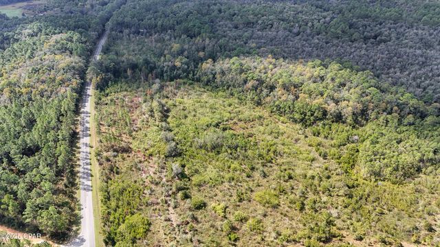 0 Douglas Ferry Road, Bonifay, FL 32425