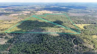 0 Douglas Ferry Road, Bonifay, FL 32425