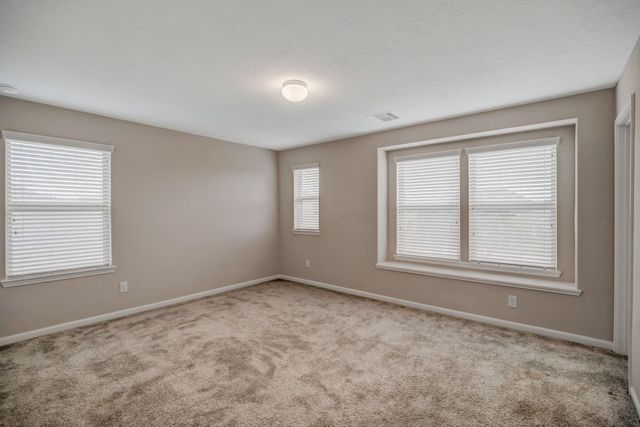 14102 Spring Birch, Pearland, TX 77584