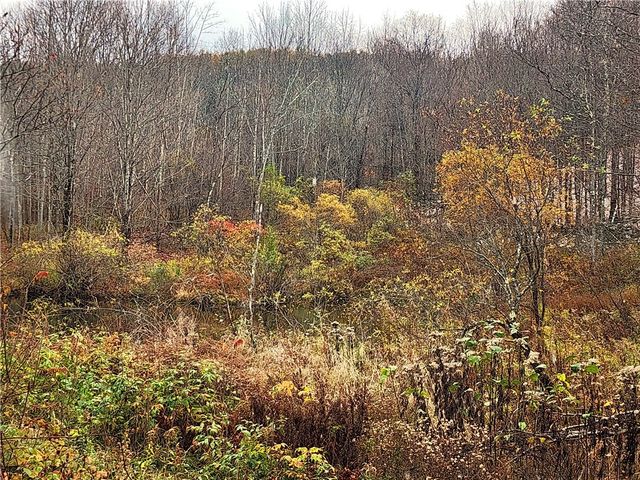 172 Mace Hill Road, Broome, NY 12122