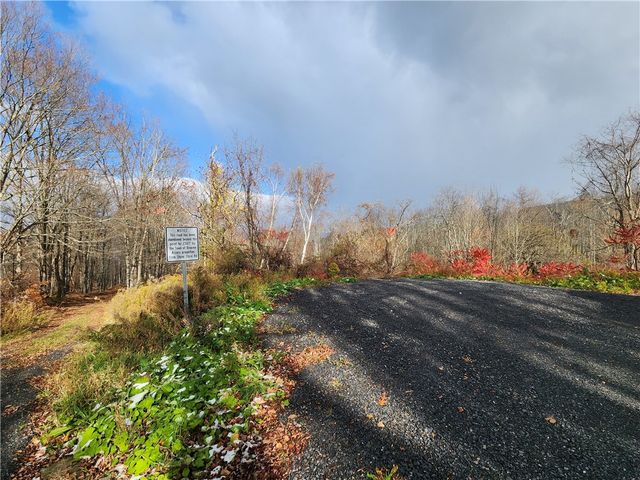 172 Mace Hill Road, Broome, NY 12122