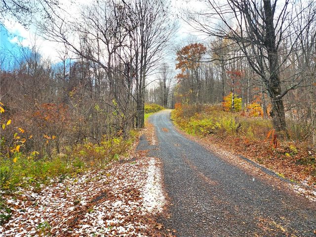 172 Mace Hill Road, Broome, NY 12122