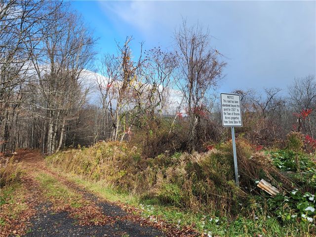 172 Mace Hill Road, Broome, NY 12122
