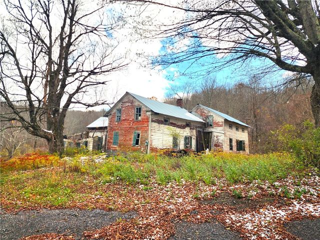 172 Mace Hill Road, Broome, NY 12122