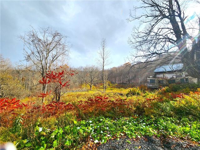 172 Mace Hill Road, Broome, NY 12122