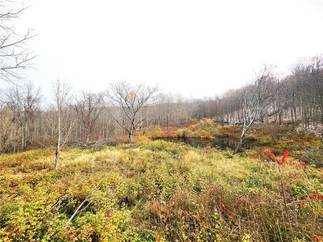 172 Mace Hill Road, Broome, NY 12122