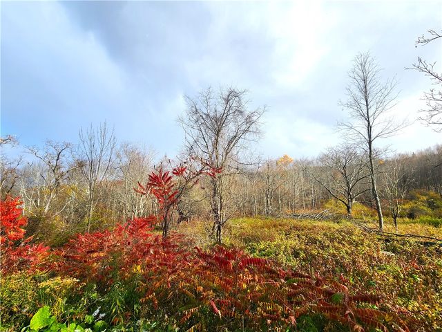 172 Mace Hill Road, Broome, NY 12122