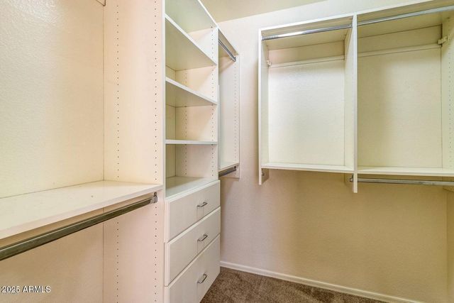 13709 W Cottonwood Street, Surprise, AZ 85374