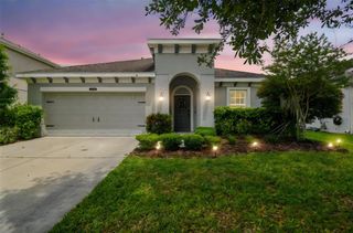 8228 SUNLIT HORIZON LANE, Land O Lakes, FL 34637