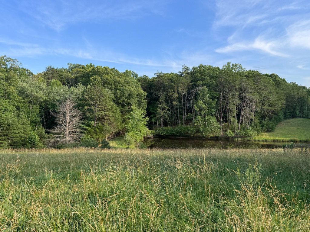 31934 INDIANTOWN RD, Locust Grove, VA 22508
