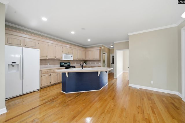 116 Rum Gully Lane, Chapin, SC 29036