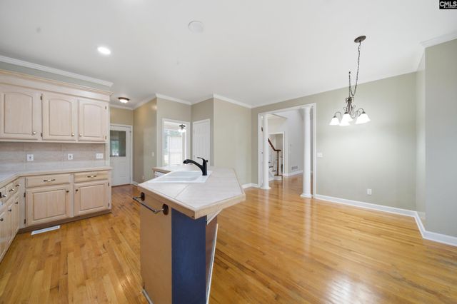 116 Rum Gully Lane, Chapin, SC 29036