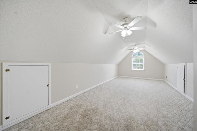 116 Rum Gully Lane, Chapin, SC 29036