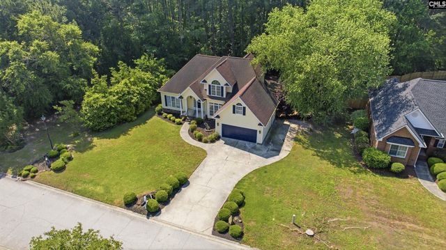 116 Rum Gully Lane, Chapin, SC 29036