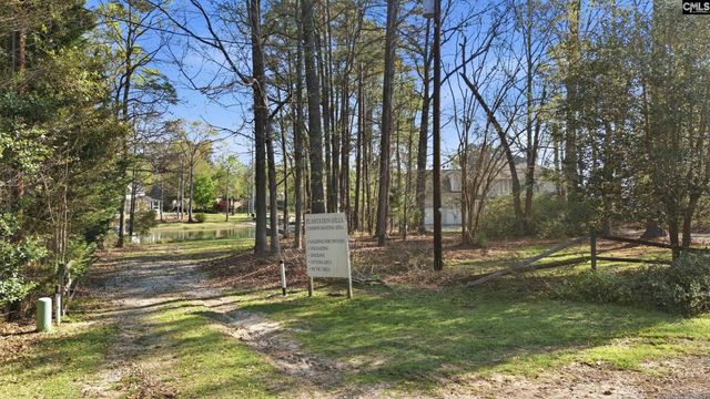 116 Rum Gully Lane, Chapin, SC 29036