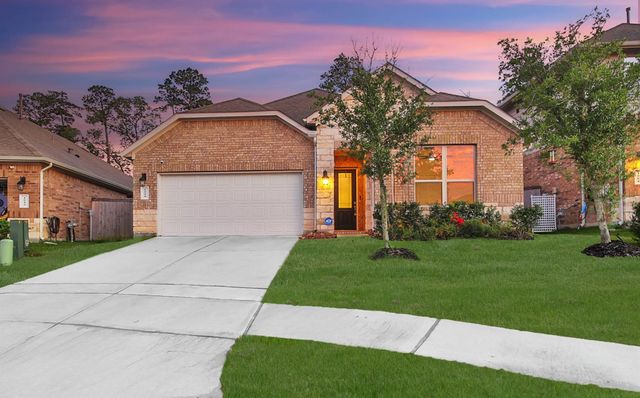 1008 Youth Water Road, Montgomery, TX 77316