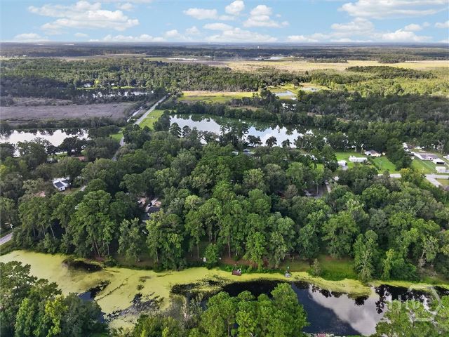 343 Wild Heron Drive, Midway, GA 31320