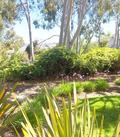 55 Fleurance, Laguna Niguel, CA 92677