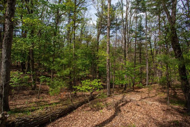 324 MOUNTAINTOP DR, Mathias, WV 26812