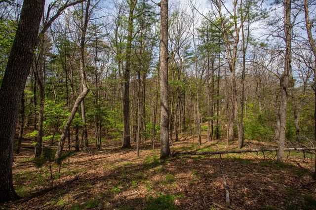 324 MOUNTAINTOP DR, Mathias, WV 26812