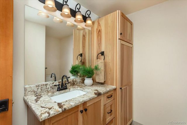 24240 River Meadow Drive, Buena Vista, CO 81211