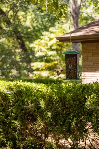 16107 Walnut Drive, Fayetteville, AR 72704