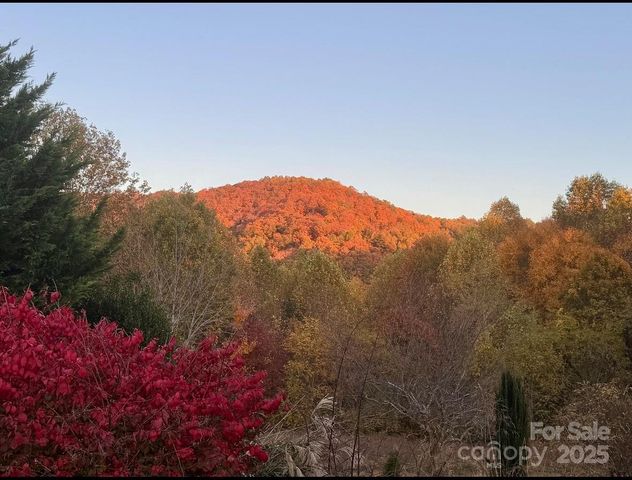 3028 Timber Trails Trail, Hendersonville, NC 28792