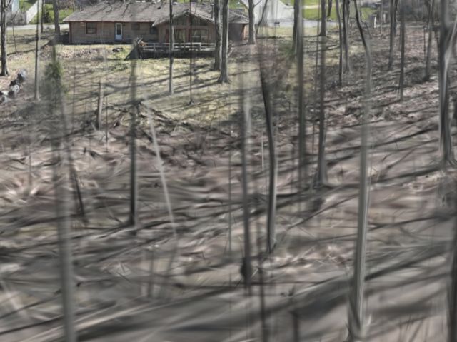 3700 Woodland Lane, Downers Grove, IL 60515