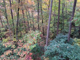 27 Laurel Lane, Topton, NC 28781