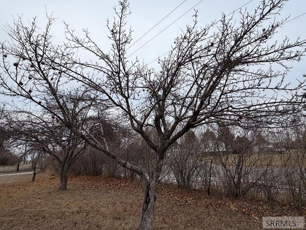 Image 40 of property listing at 1077 E 1300 N, Shelley, ID 83274